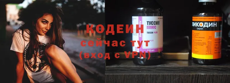 Codein Purple Drank  купить наркотики сайты  ОМГ ОМГ рабочий сайт  Владимир 